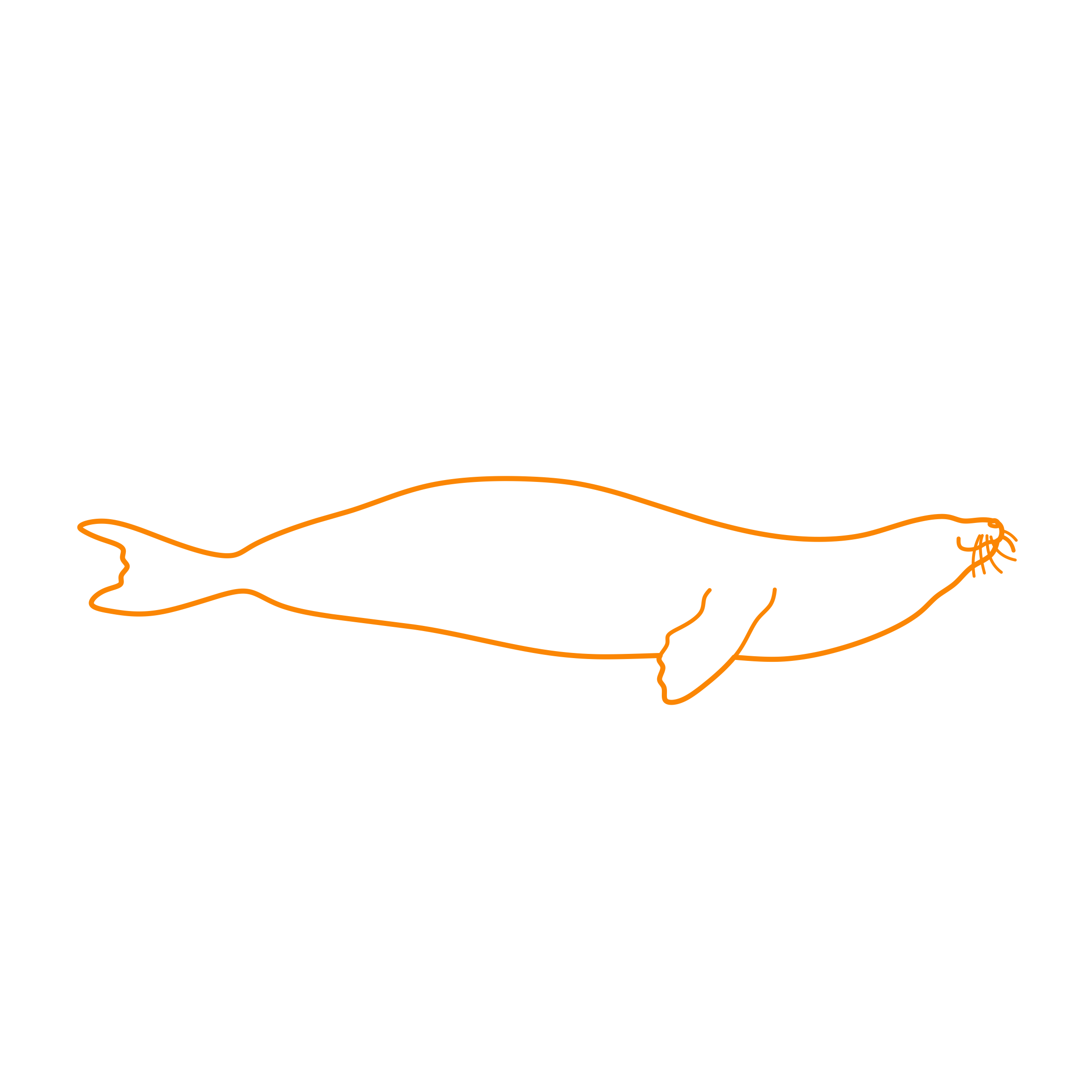 Animals Seals Hawaiian Monk Seal Editable Svg Line Art Free Vectors